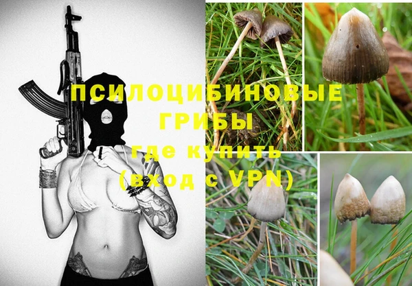 эйфоретик Абинск